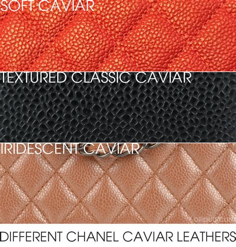 Chanel Caviar Leather Reference Guide 